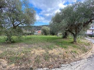 Terreno residenziale in vendita a torrevecchia teatina via palermo s.n.c