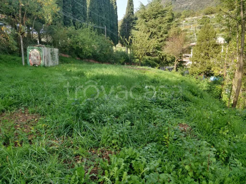 immagine annuncio 12 di 14