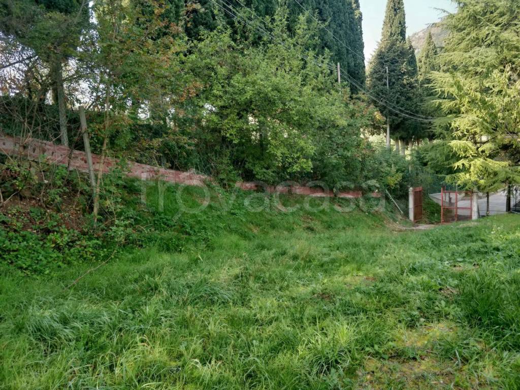 immagine annuncio 9 di 14