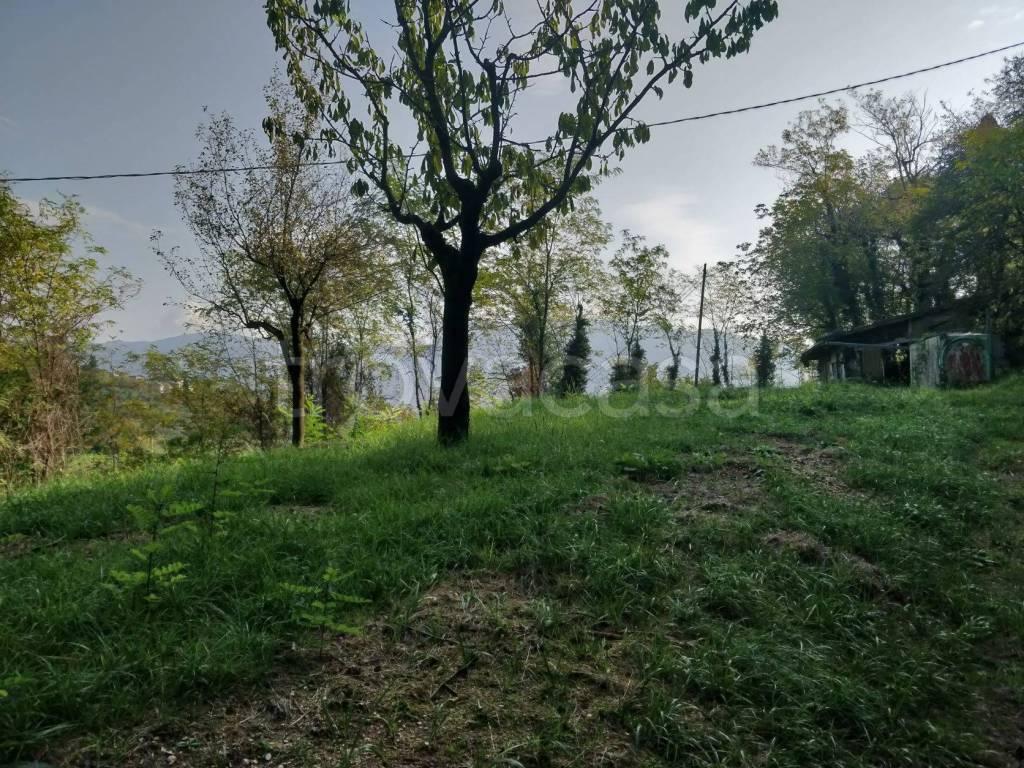 immagine annuncio 4 di 14