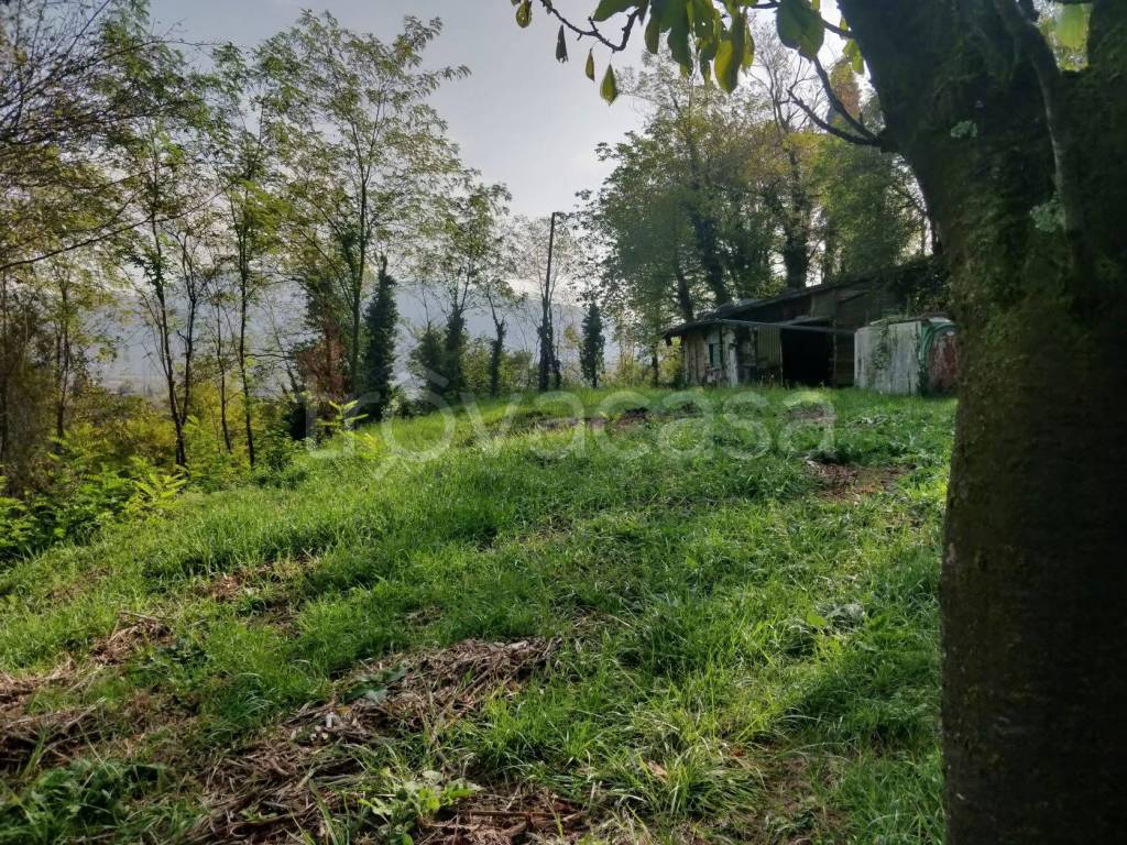 immagine annuncio 5 di 14
