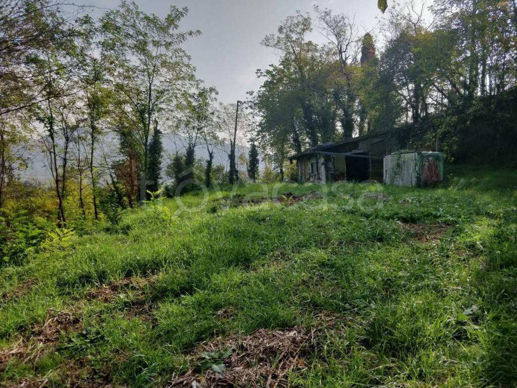 immagine annuncio 6 di 14