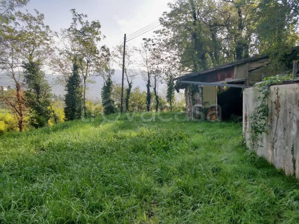 immagine annuncio 7 di 14