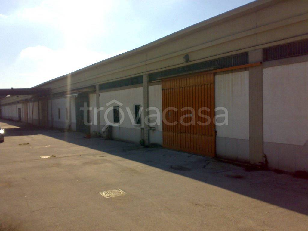 Capannone Industriale in in affitto da privato ad Arzano via Atellana