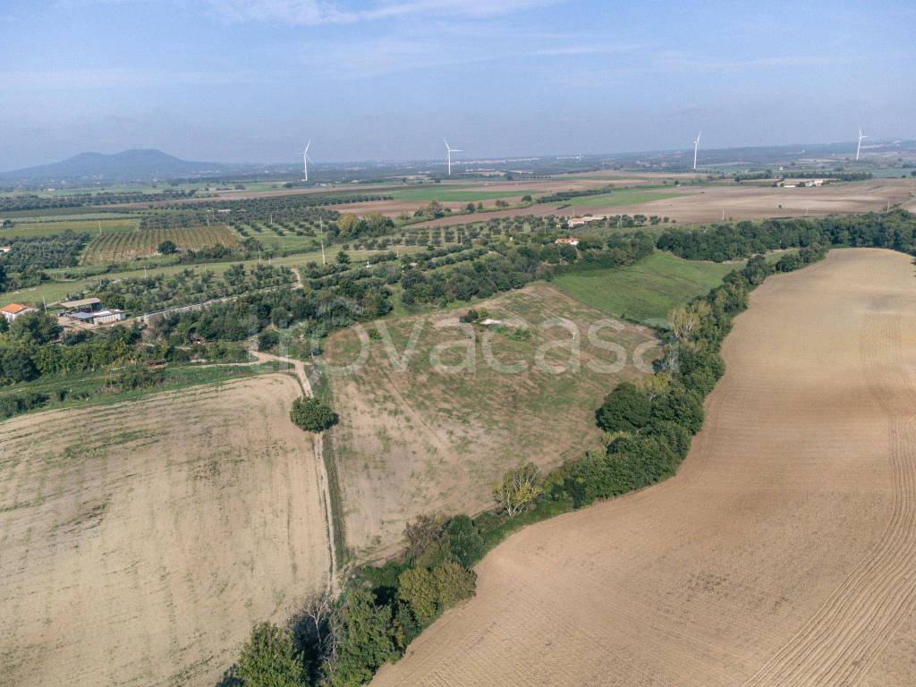 Terreno Agricolo in vendita a Tuscania montebello