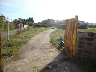 Terreno residenziale in vendita ad anzio via delle betulle