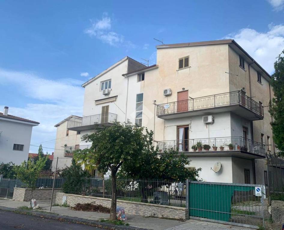 immagine annuncio 10 di 11