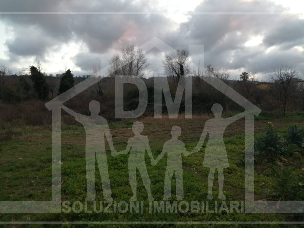 immagine annuncio 5 di 7