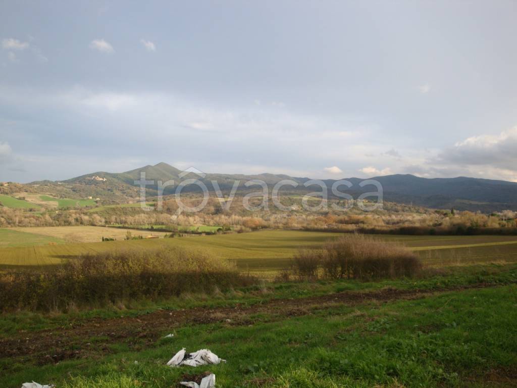 Terreno Agricolo in vendita a Volterra