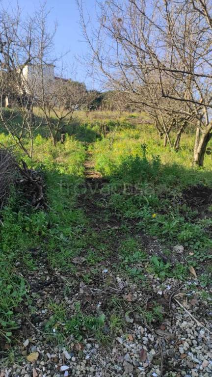 Terreno Agricolo in vendita a Somma Vesuviana via aldo moro II tratto snc