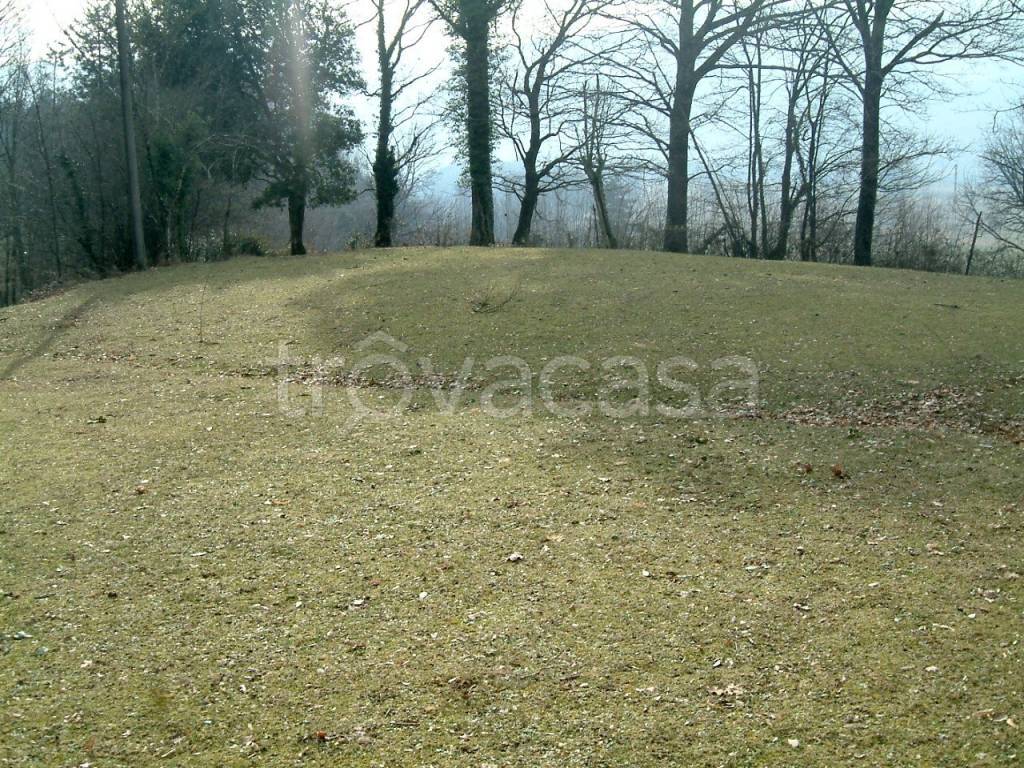immagine annuncio 11 di 12