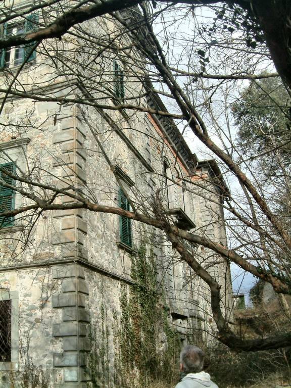 immagine annuncio 4 di 12