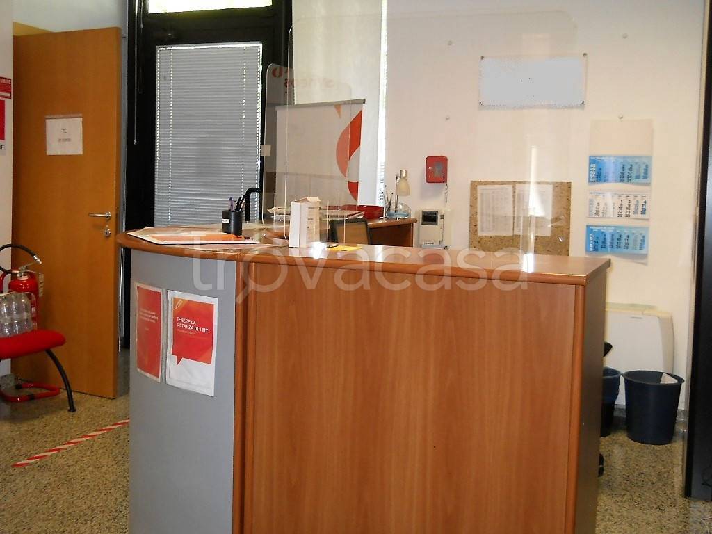 immagine annuncio 9 di 12