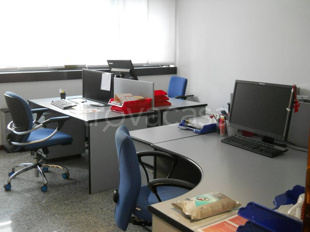 immagine annuncio 2 di 12