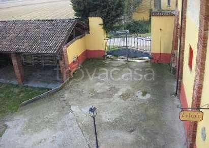 immagine annuncio 11 di 15