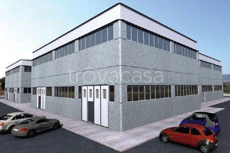 immagine annuncio 6 di 8