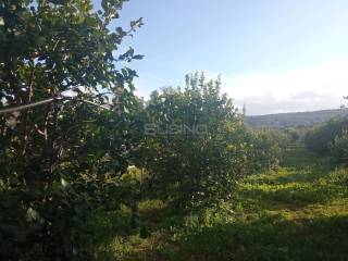 Terreno agricolo in vendita a siracusa traversa case nuove