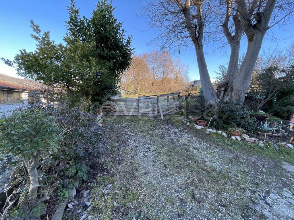 immagine annuncio 4 di 8