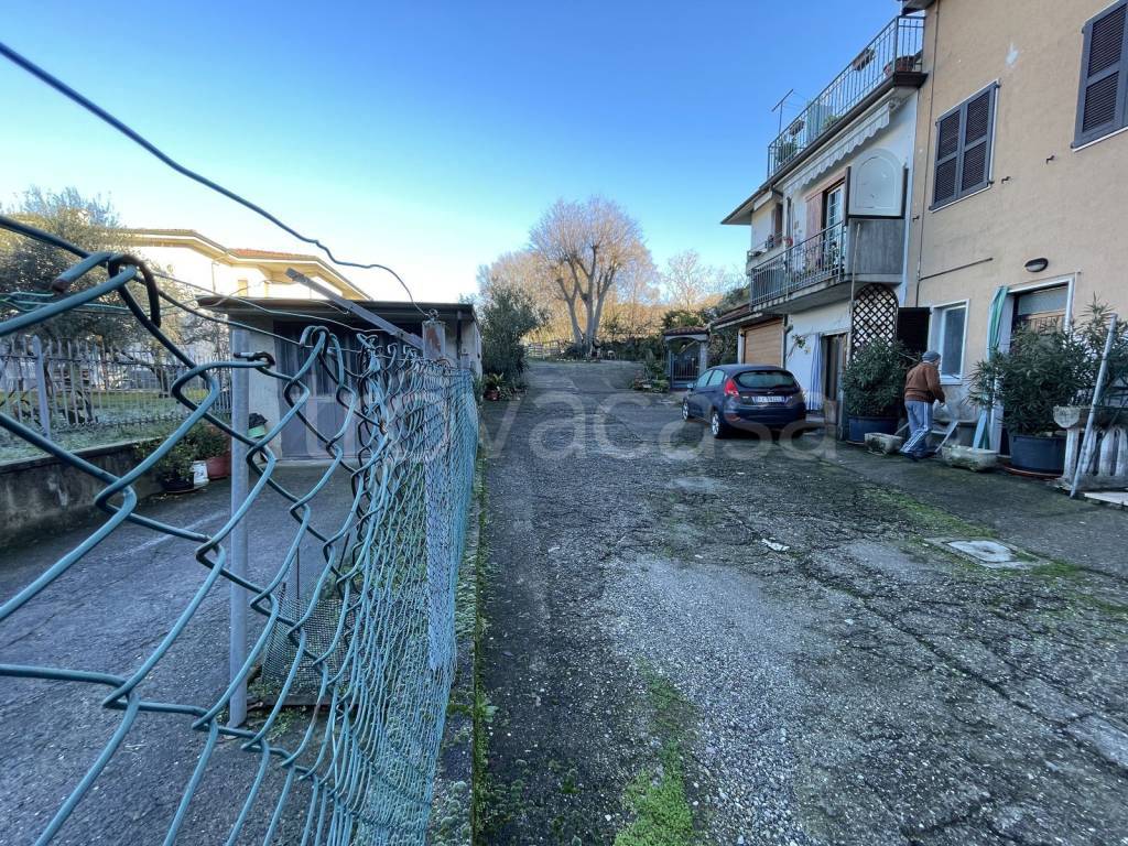 immagine annuncio 5 di 8