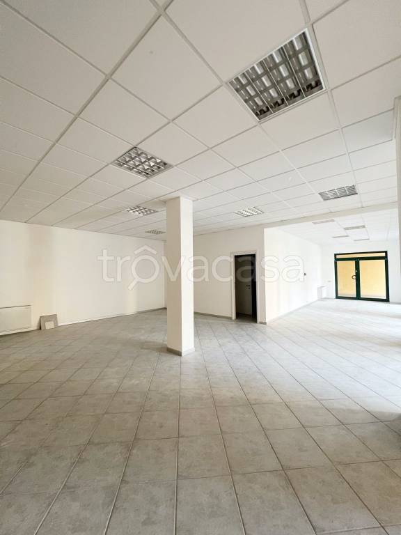 immagine annuncio 4 di 8