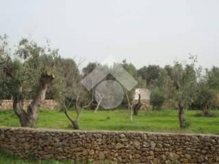 Terreno residenziale in vendita a sannicola contrada doganiere