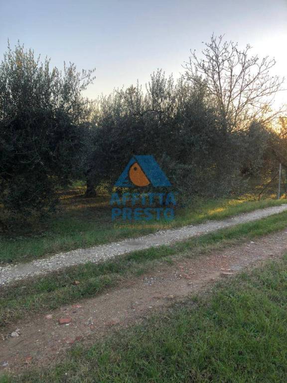 immagine annuncio 5 di 7