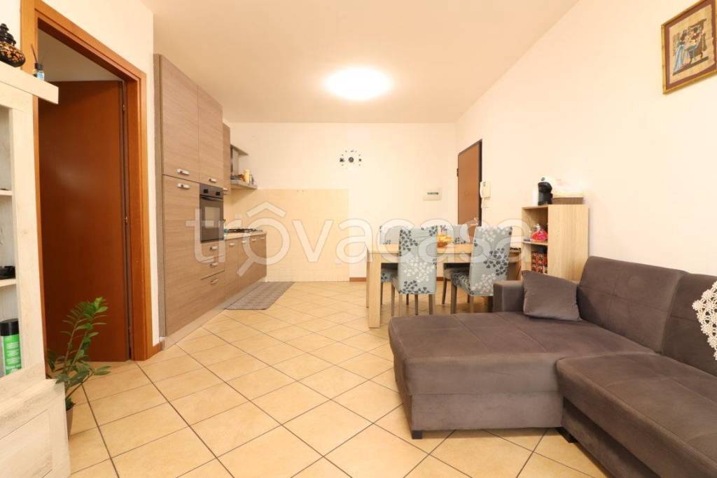 immagine annuncio 2 di 12