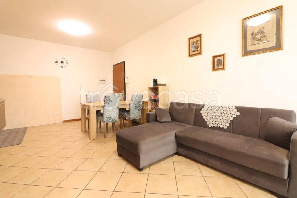 immagine annuncio 3 di 12