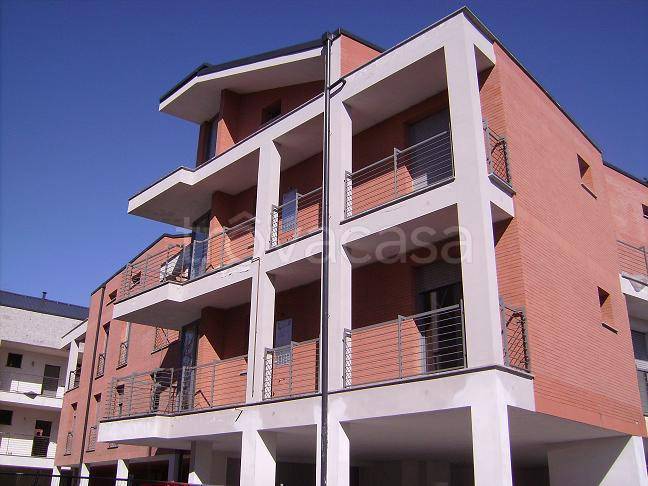 immagine annuncio 3 di 14