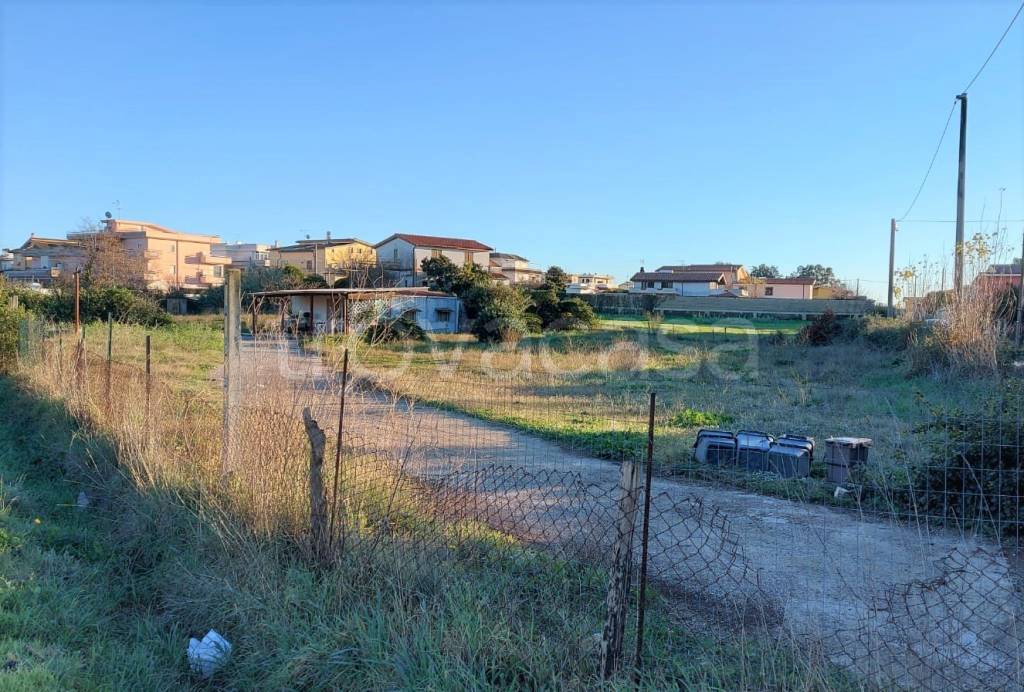 immagine annuncio 4 di 6
