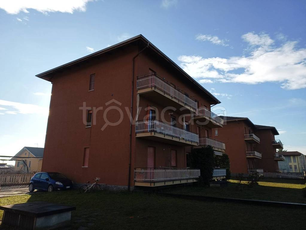 immagine annuncio 1 di 15