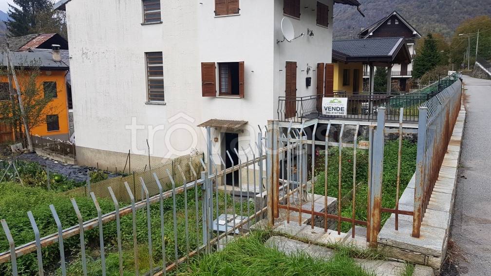 immagine annuncio 11 di 13