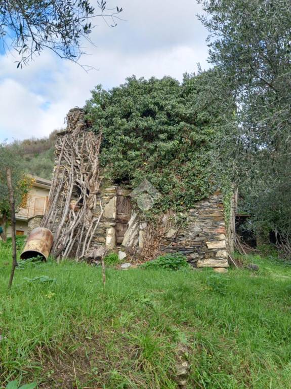 immagine annuncio 1 di 6