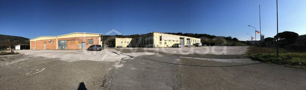 Capannone Industriale in vendita a Campagnatico viadotto Cerro Sughero 1