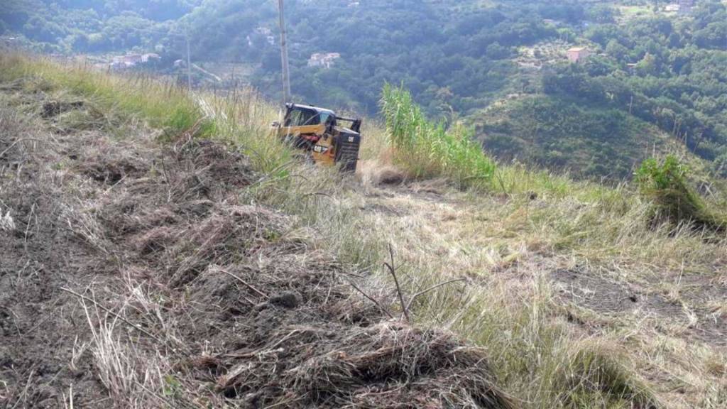 immagine annuncio 8 di 11