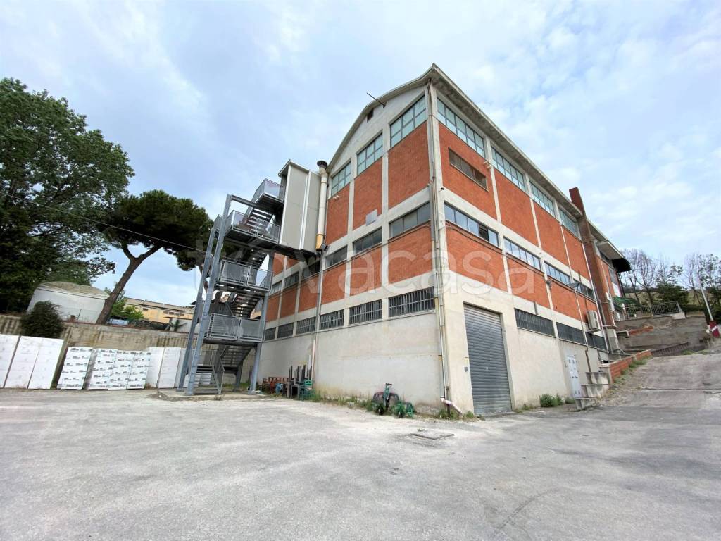 immagine annuncio 2 di 7