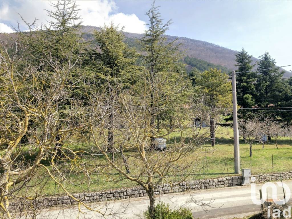 immagine annuncio 10 di 14