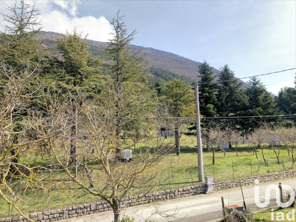 immagine annuncio 11 di 14