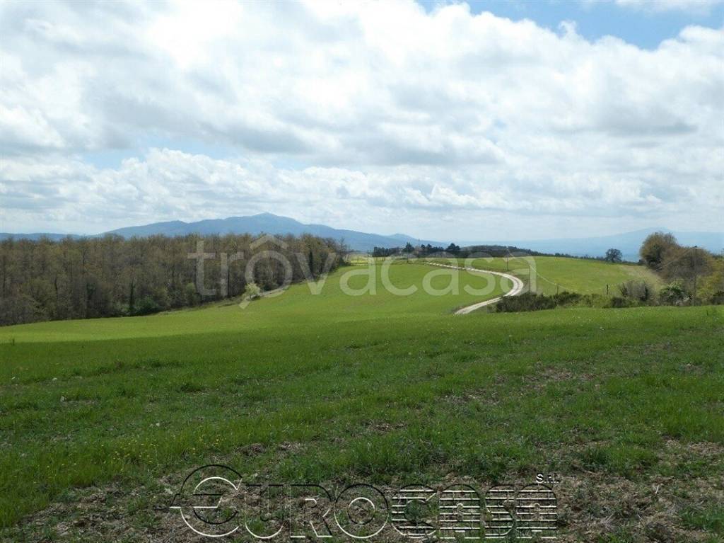 Terreno Agricolo in vendita a Orvieto ss79bis