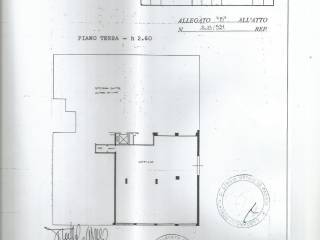 Hobby/tempo libero in in vendita da privato a padova via ulisse dini, 21