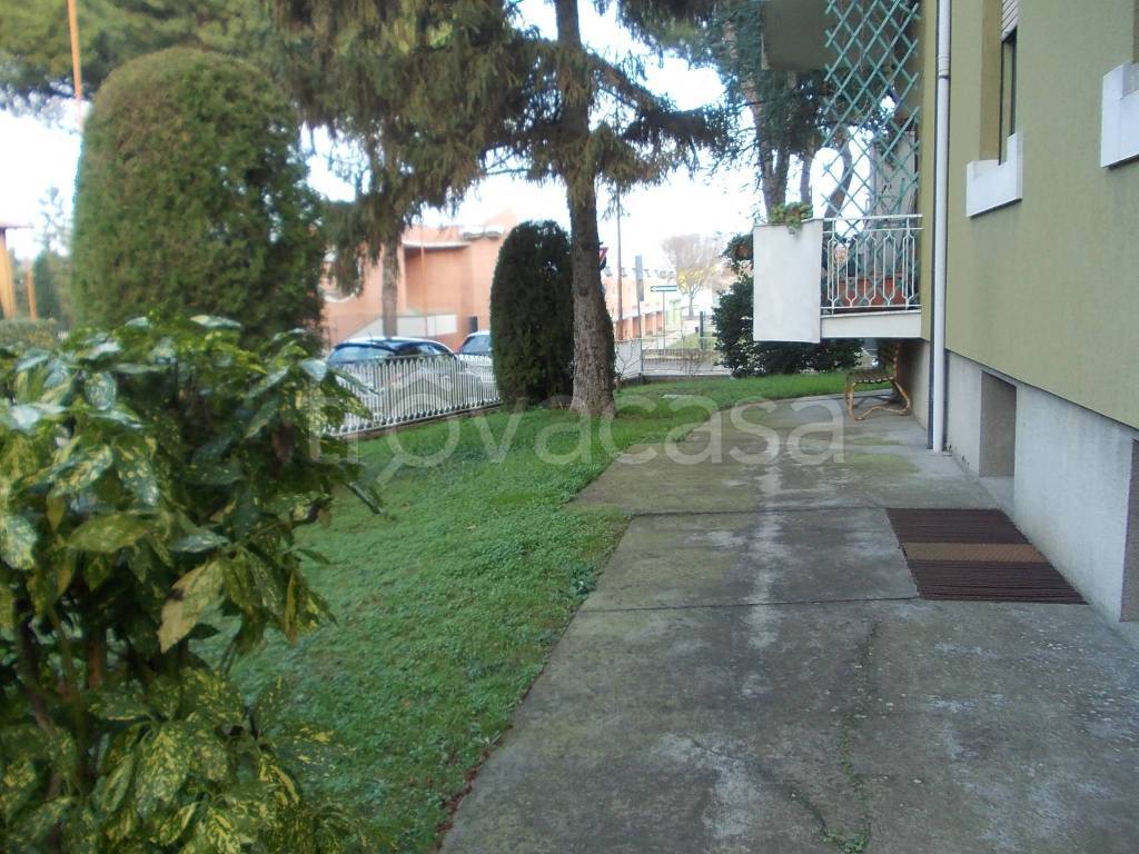immagine annuncio 8 di 13