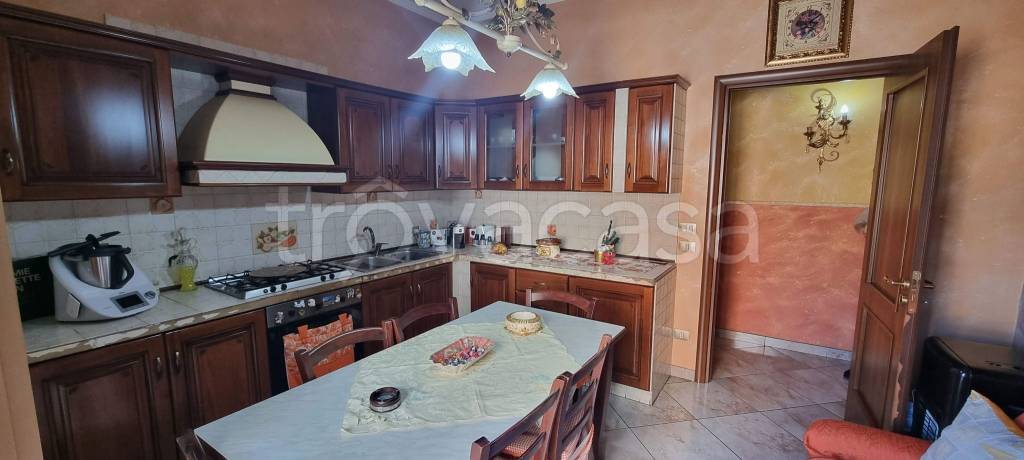 immagine annuncio 9 di 14