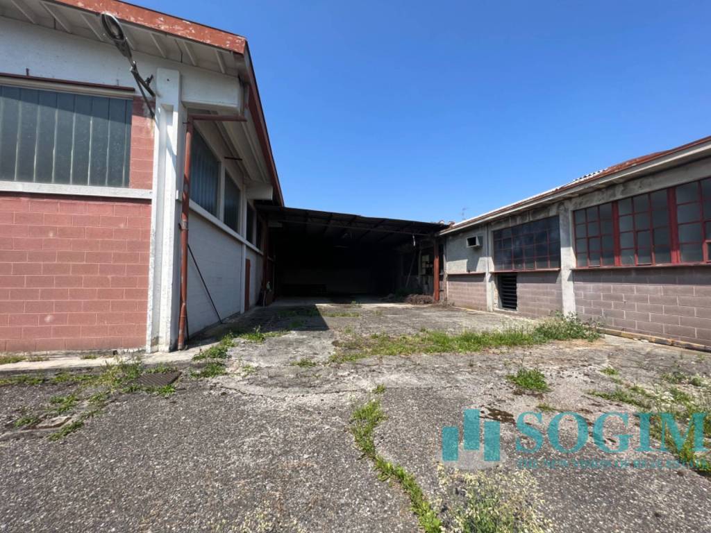 immagine annuncio 11 di 15