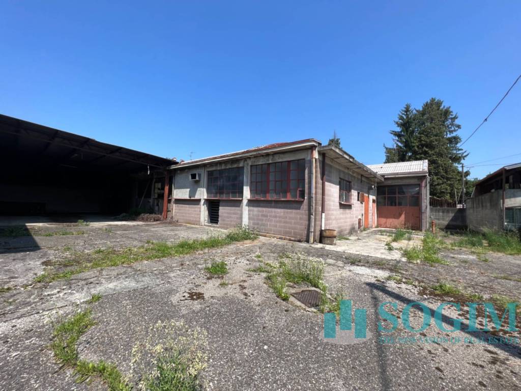 immagine annuncio 12 di 15