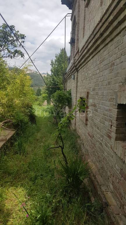 immagine annuncio 6 di 9