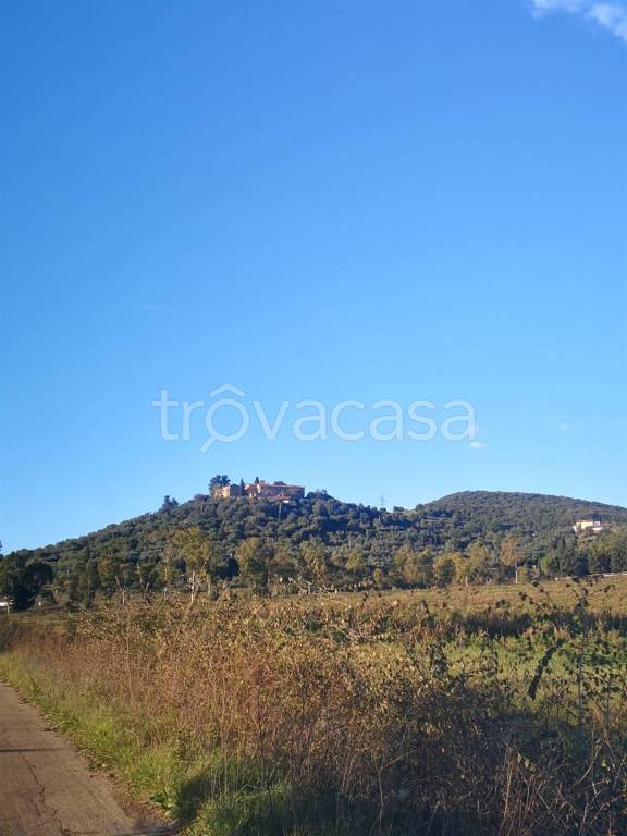 immagine annuncio 7 di 13