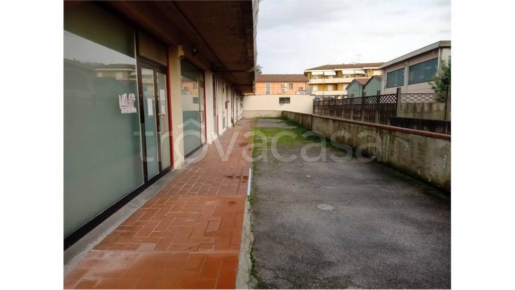 immagine annuncio 11 di 13