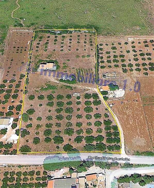 immagine annuncio 5 di 12