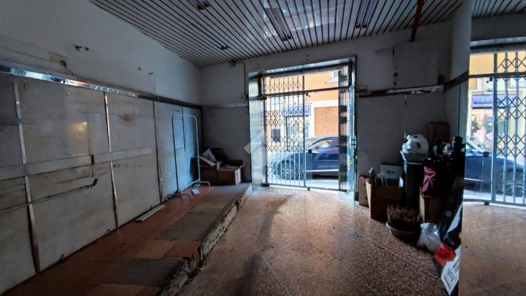 immagine annuncio 2 di 14