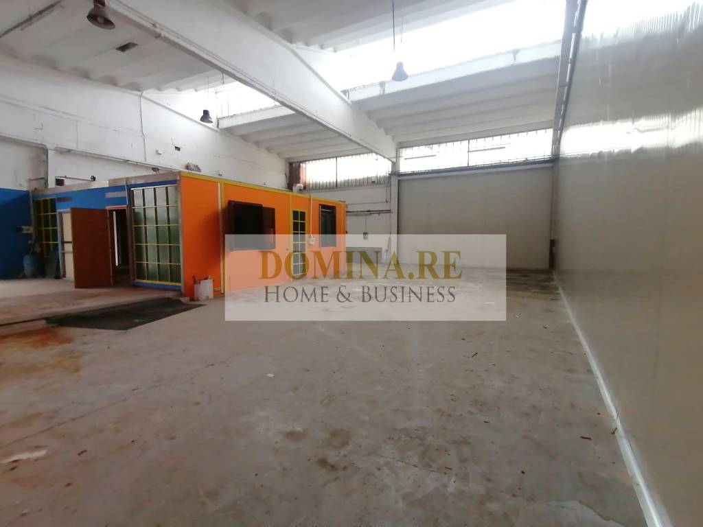 immagine annuncio 9 di 15